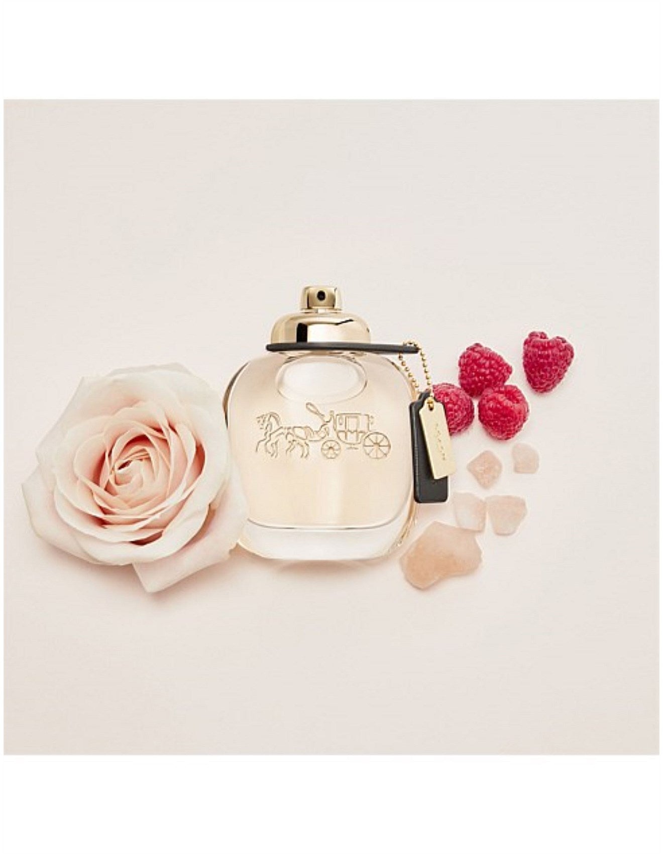 COACH EAU DE PARFUM 90ML