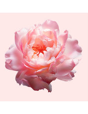 FLOWERBOMB EAU DE PARFUM 30ML