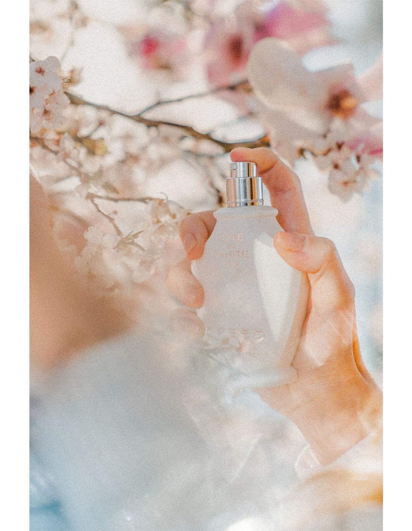 LOVE IN WHITE EDP 75ML
