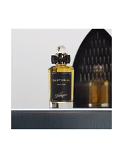 SARTORIAL EDT 100ML