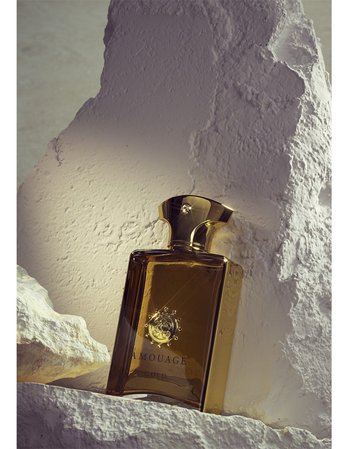 GOLD MAN EAU DE PARFUM 100ML