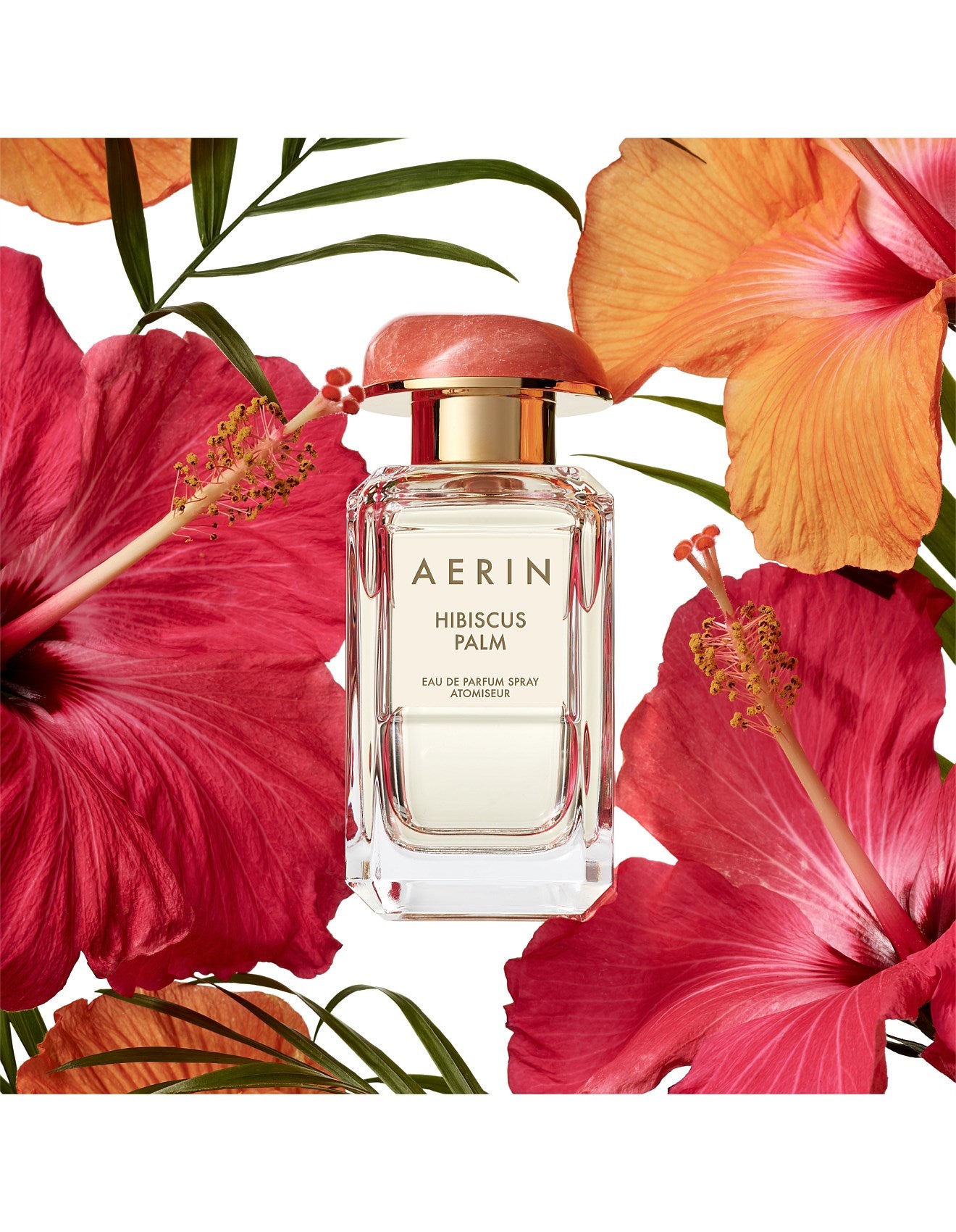 HIBISCUS PALM EAU DE PARFUM 50ML