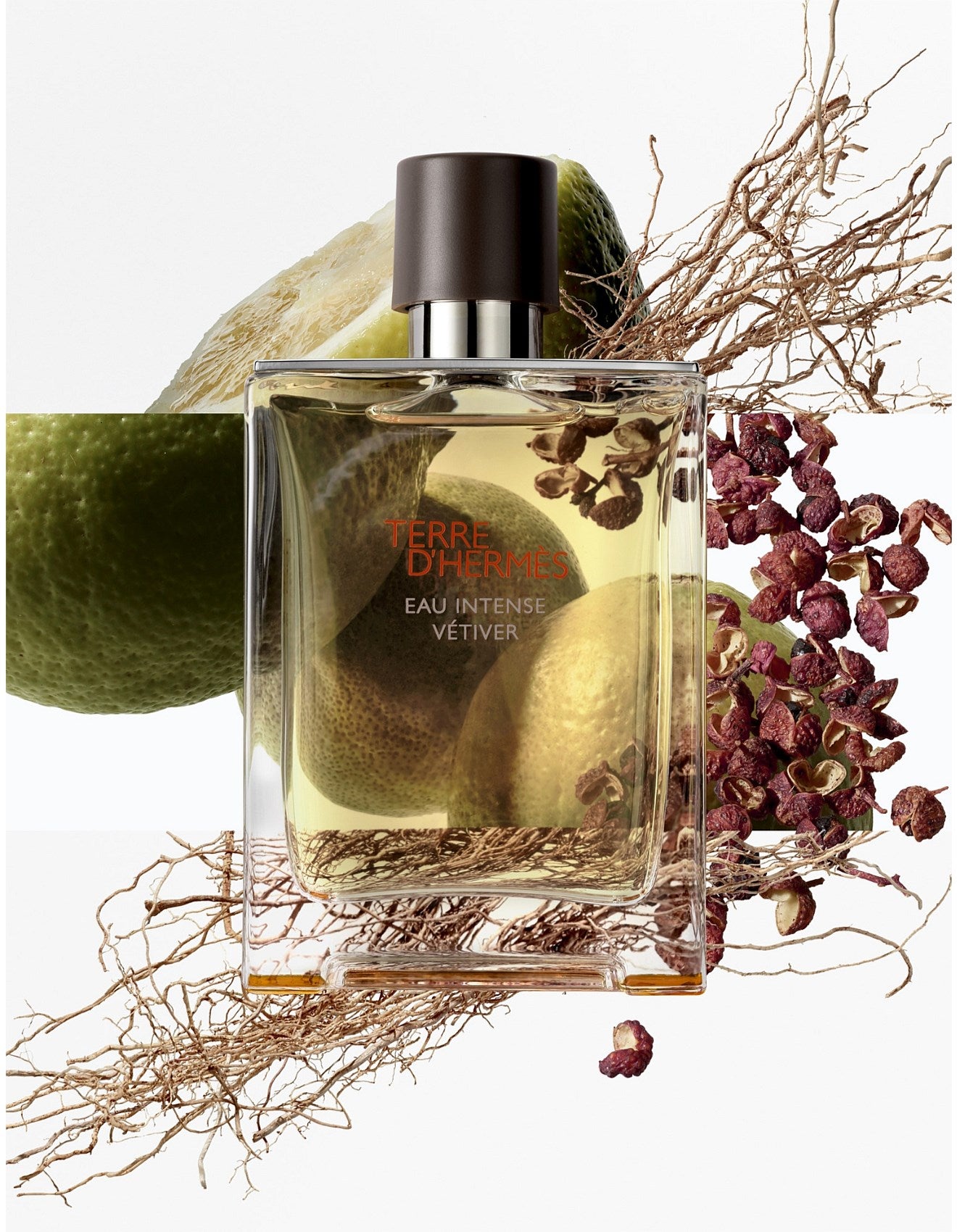 TERRE D'HERMÈS EAU INTENSE VÉTIVER EAU DE PARFUM 50ML