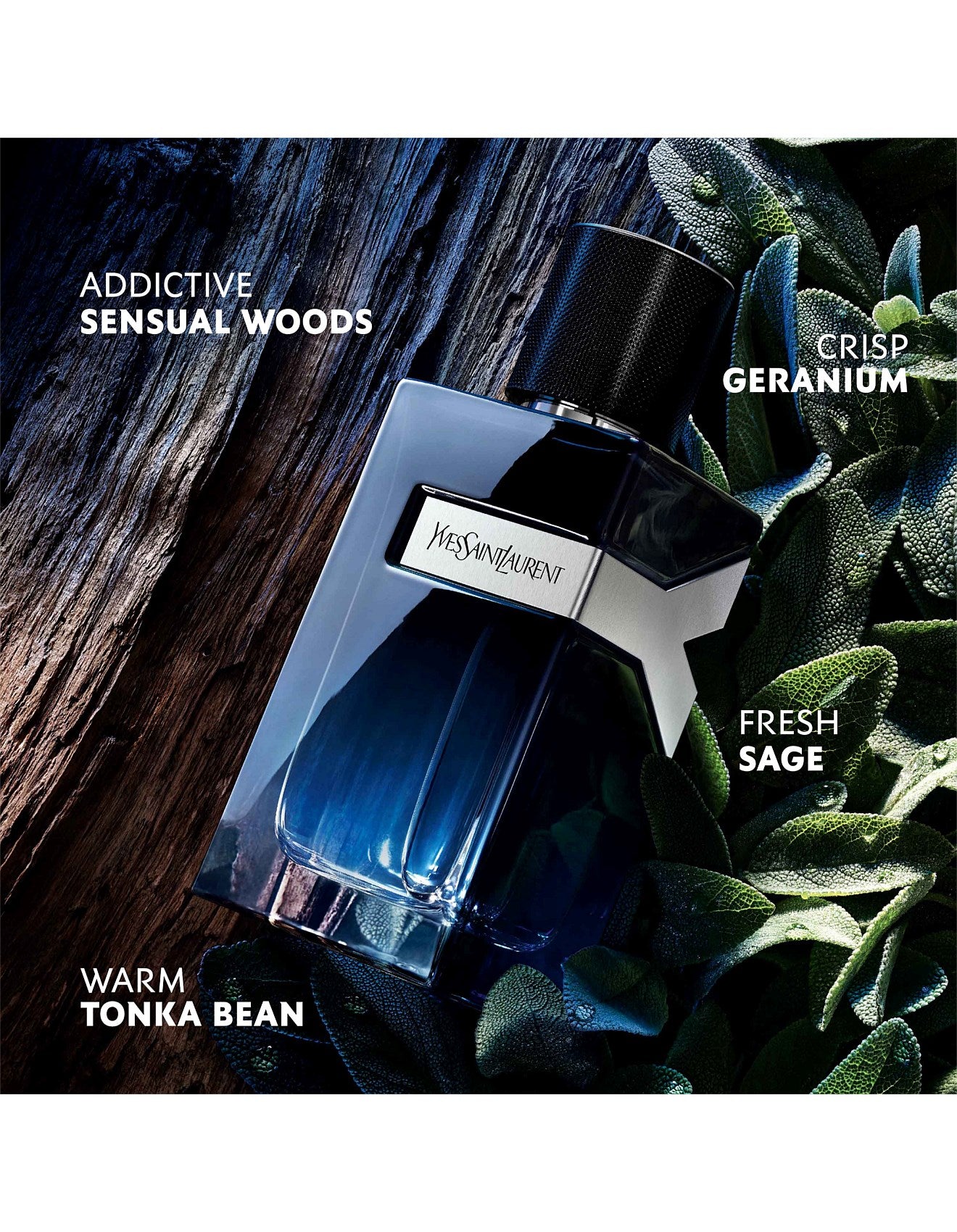 Y EAU DE PARFUM 60ML