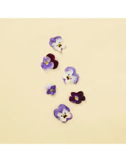 THE VIRGIN VIOLET EAU DE PARFUM 100ML
