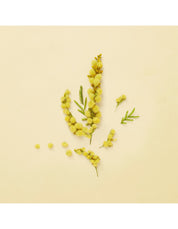 GARDEN WINTER'S SPRING EAU DE PARFUM 100ML