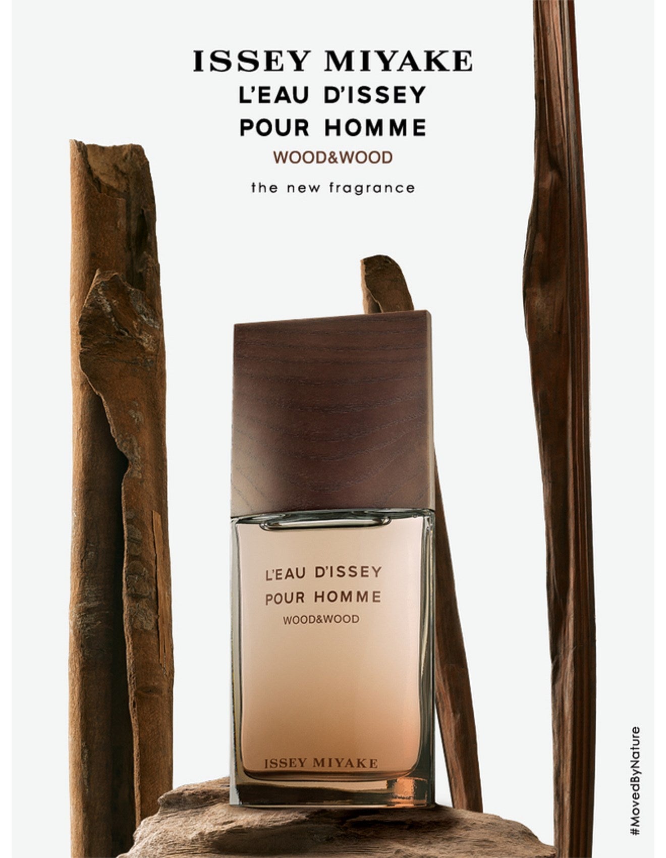 L'EAU D'ISSEY WOOD & WOOD EDP INTENSE 100ML