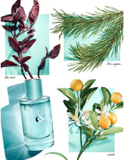 TIFFANY & LOVE FOR HER EDP 50ML