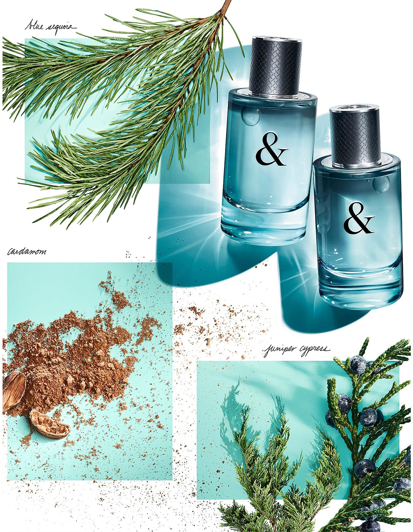 TIFFANY & LOVE FOR HIM EDT 50ML