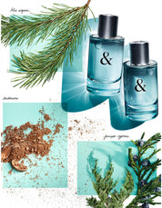 TIFFANY & LOVE FOR HIM EDT 50ML