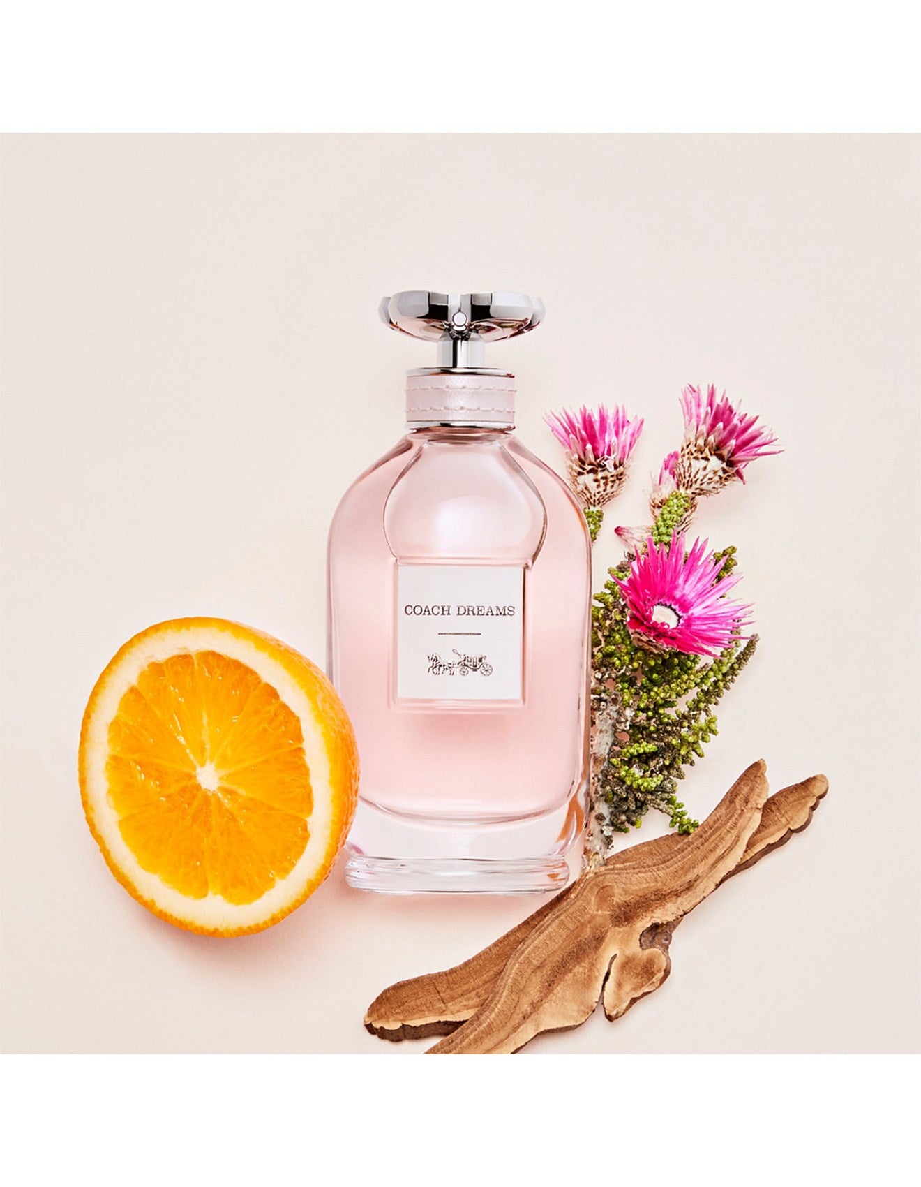 COACH DREAMS EDP 90ML