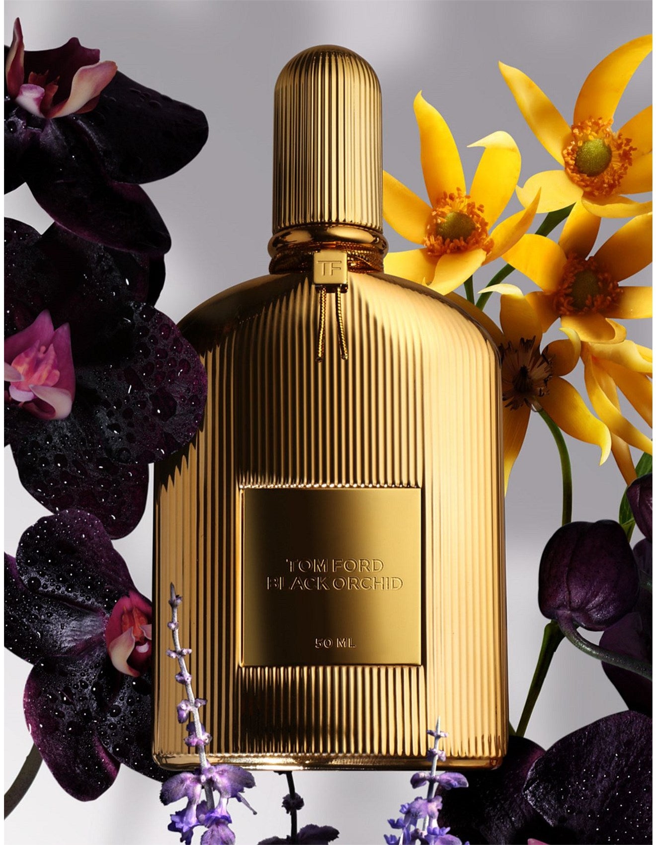 BLACK ORCHID PARFUM 50ML