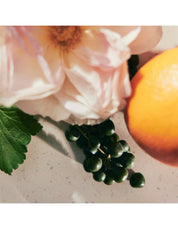CHLOÉ ROSE TANGERINE EDT 50ML