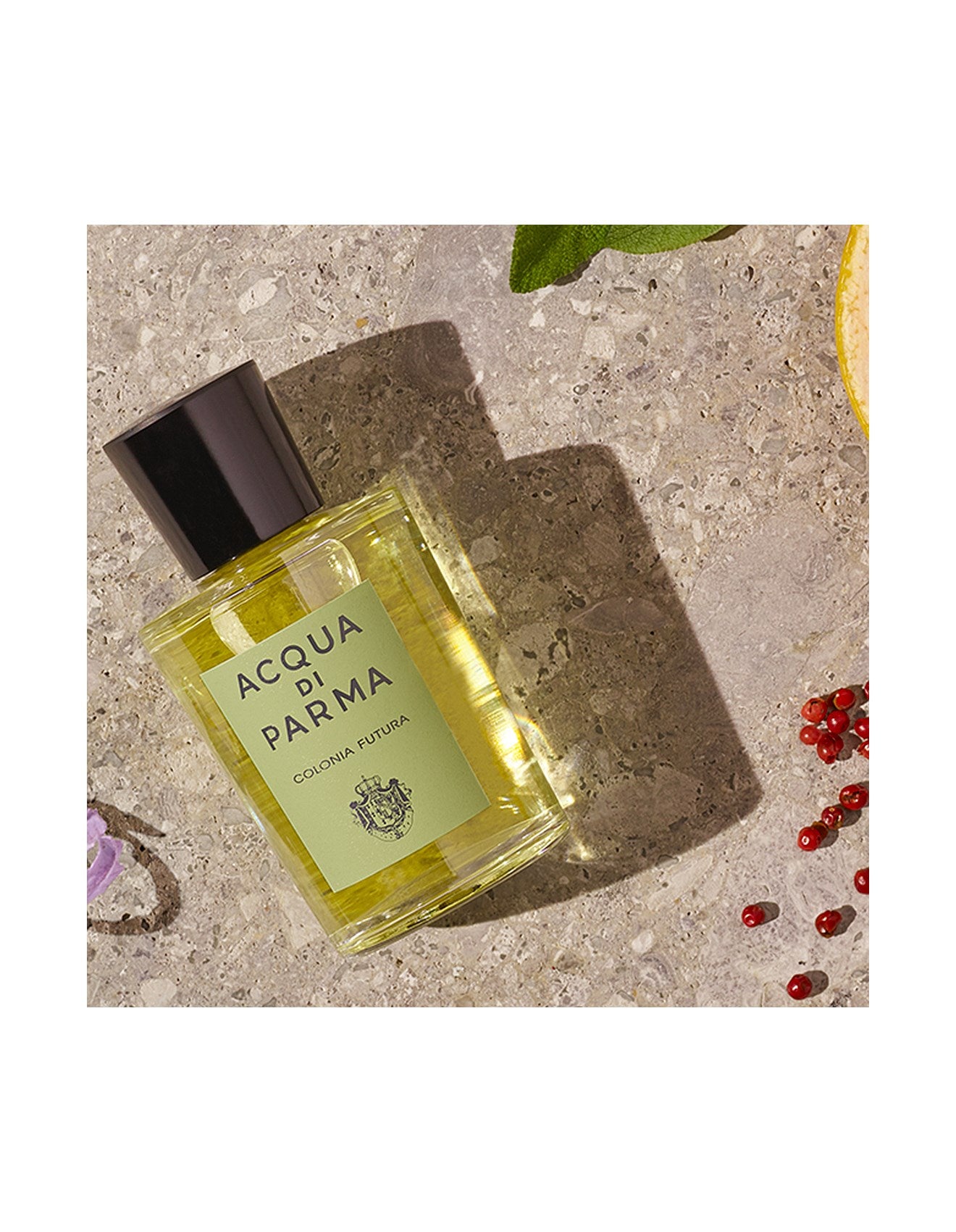 COLONIA FUTURA EAU DE COLOGNE 100ML