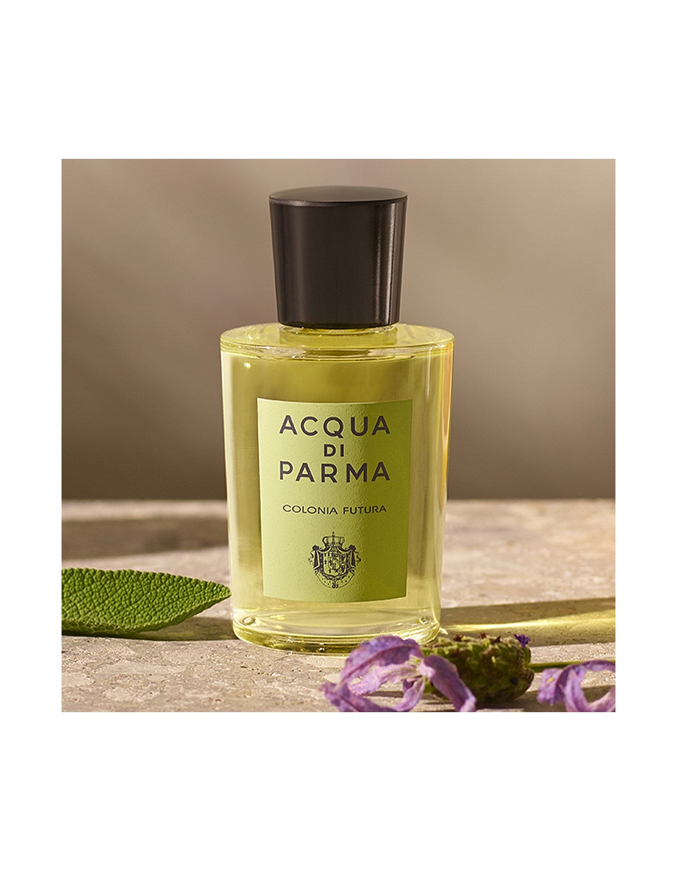 COLONIA FUTURA EAU DE COLOGNE 100ML