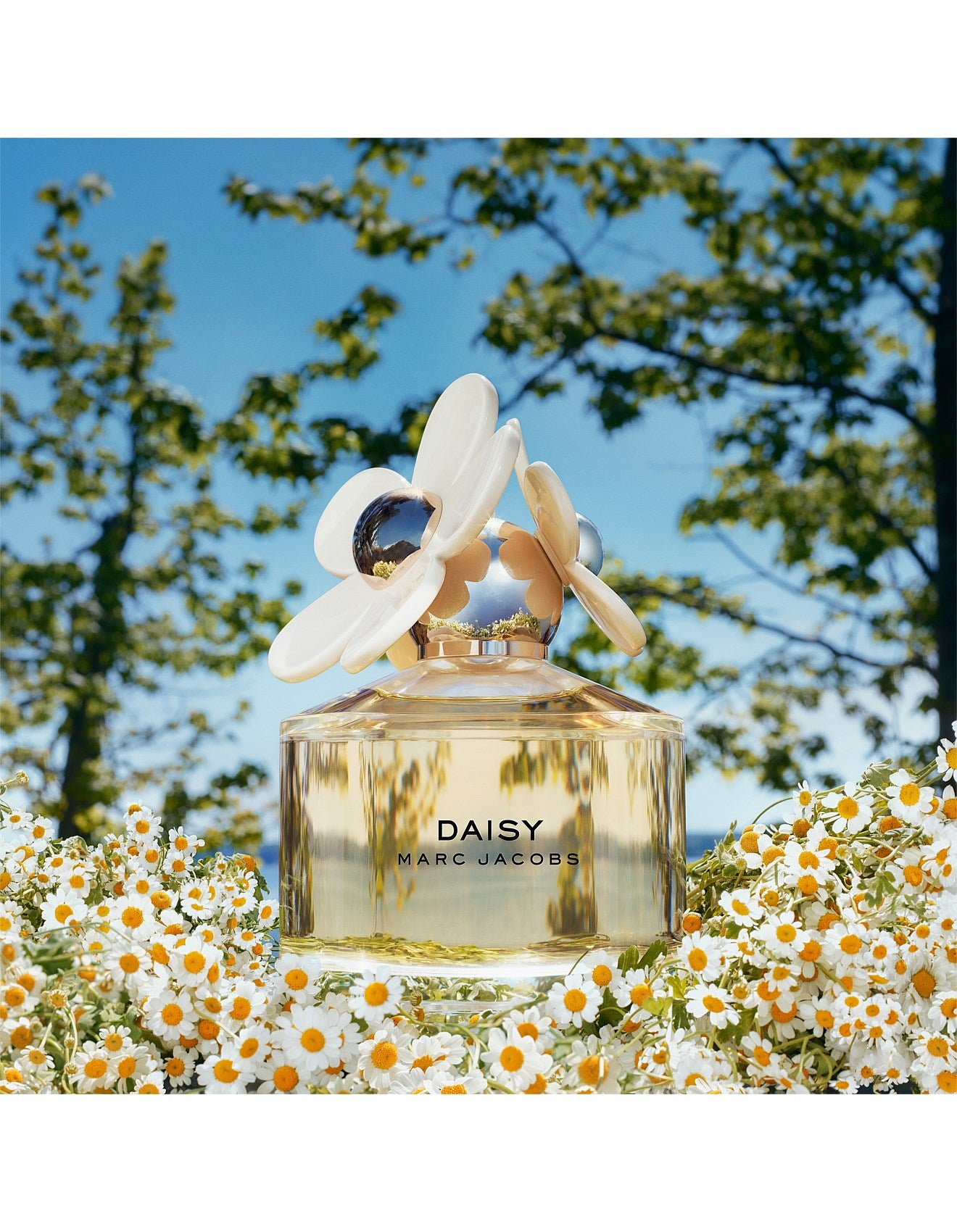 DAISY EAU DE TOILETTE 30ML