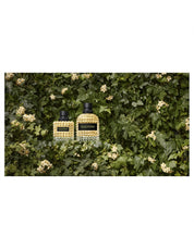 VALENTINO DONNA BORN IN ROMA YELLOW DREAM 50ML
