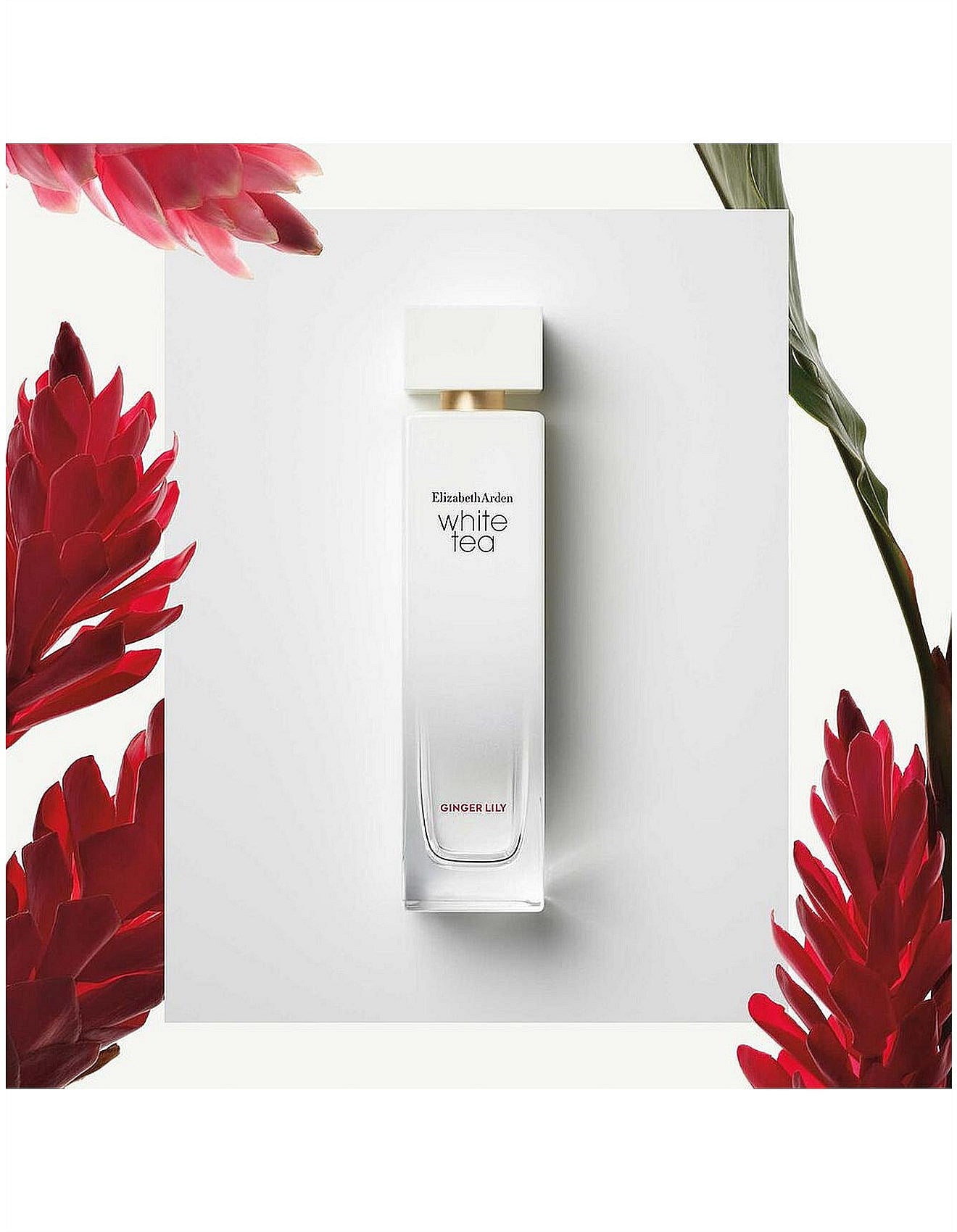 WHITE TEA GINGERLILLY 100ML EDT