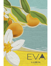 EVA 100ML EDP