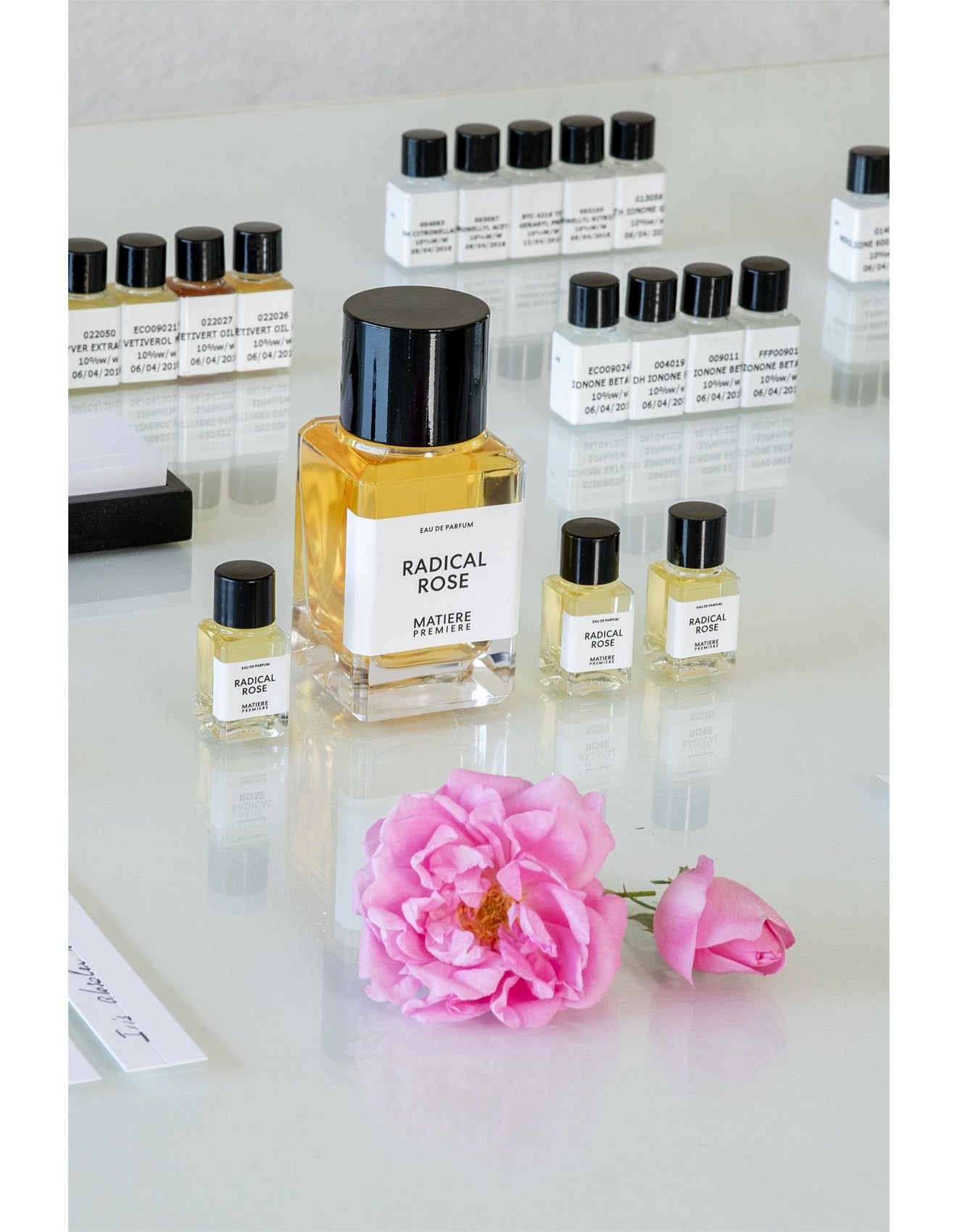 RADICAL ROSE 6ML