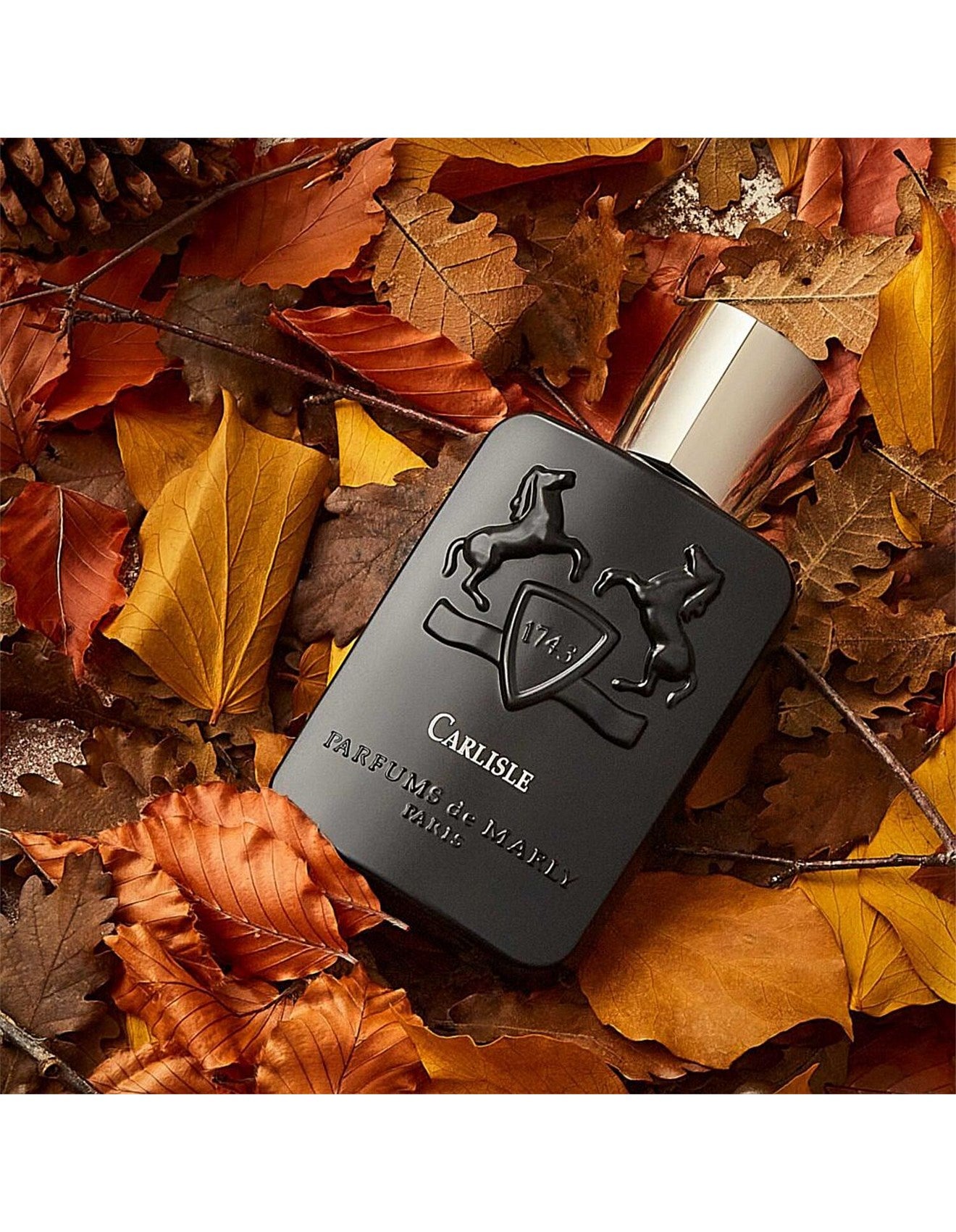 CARLISLE EDP 125ML