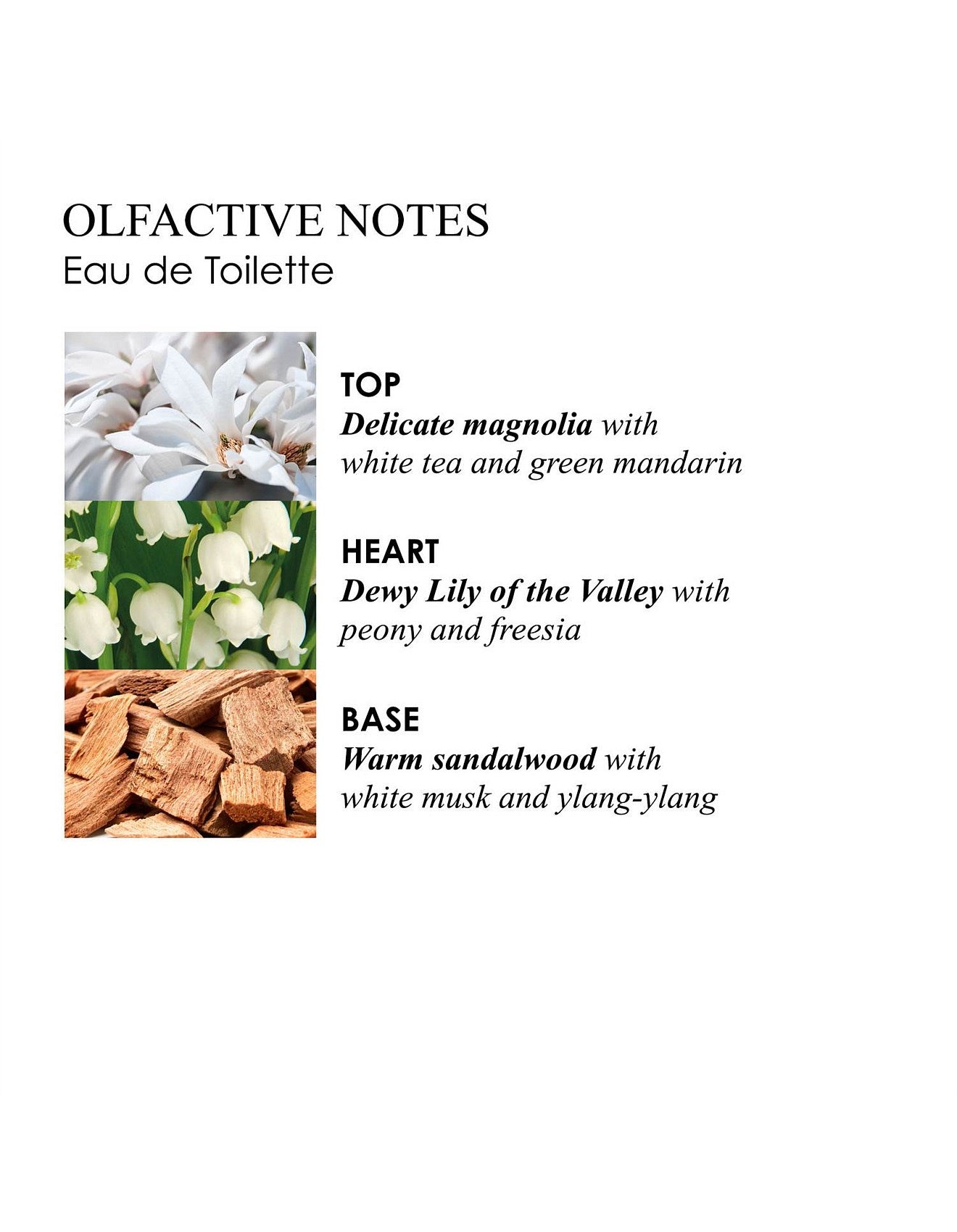 100ML LILY & MAGNOLIA BLOSSOM EAU DE TOILETTE