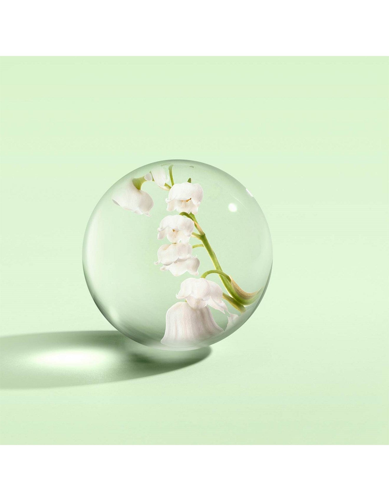 100ML LILY & MAGNOLIA BLOSSOM EAU DE TOILETTE