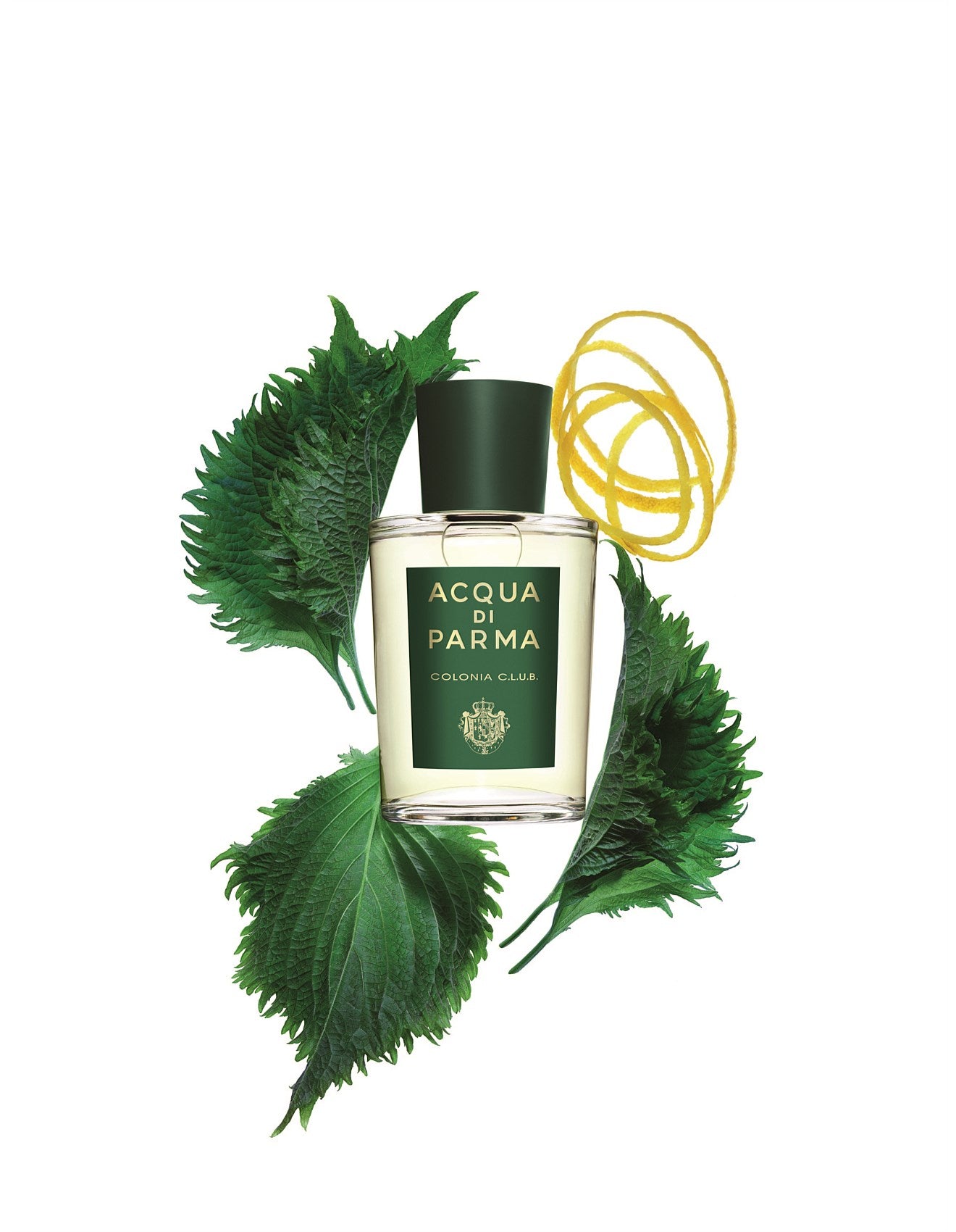 COLONIA C.L.U.B. EDP 100ML