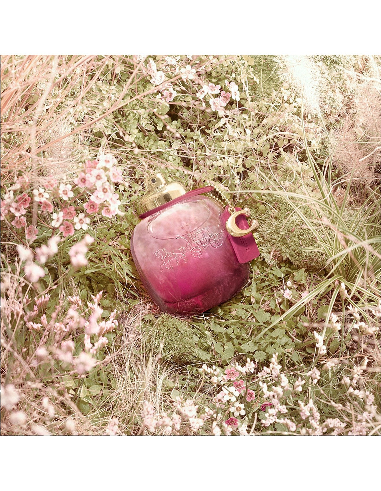 WILD ROSE EDP 50ML