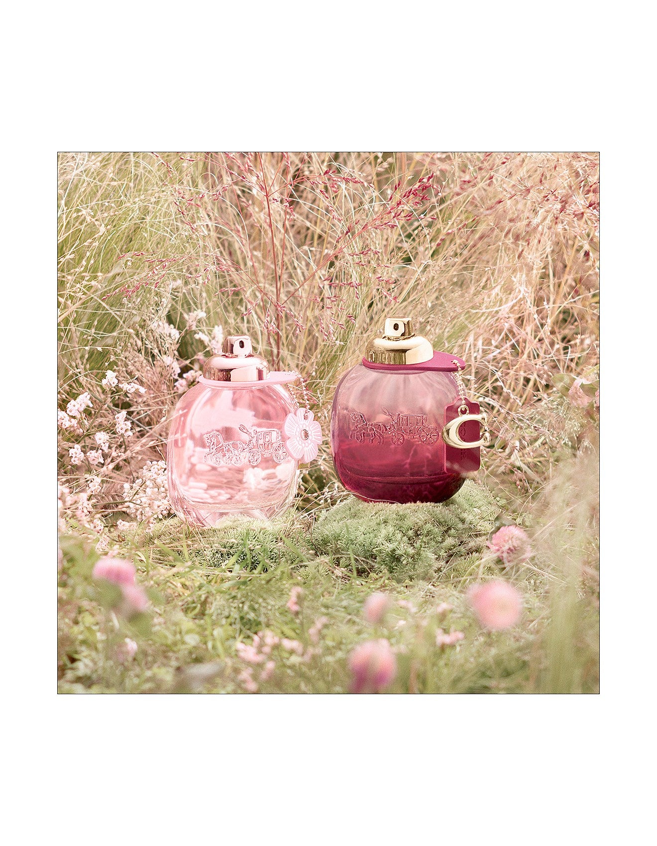 WILD ROSE EDP 50ML