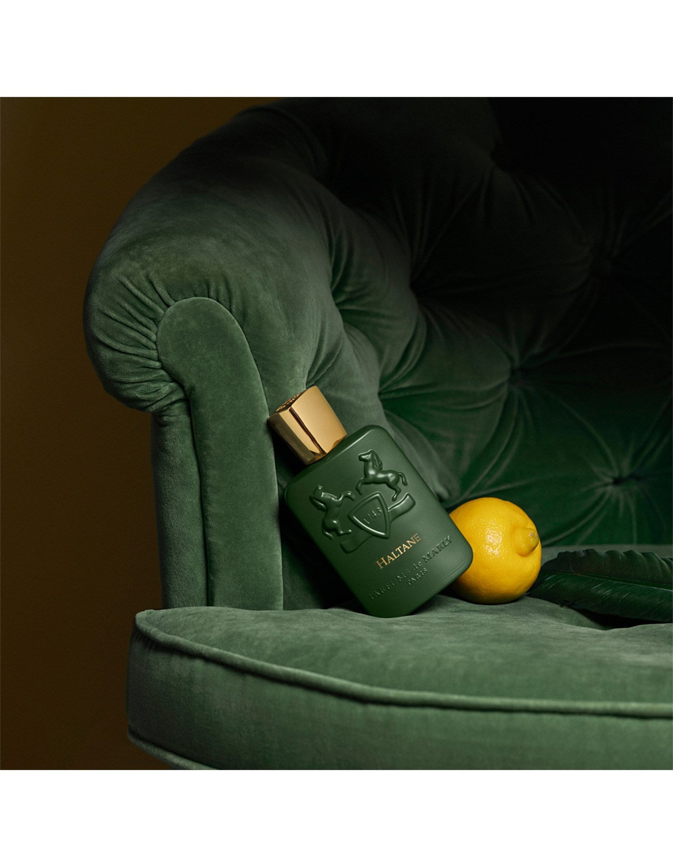 HALTANE EDP 125ML