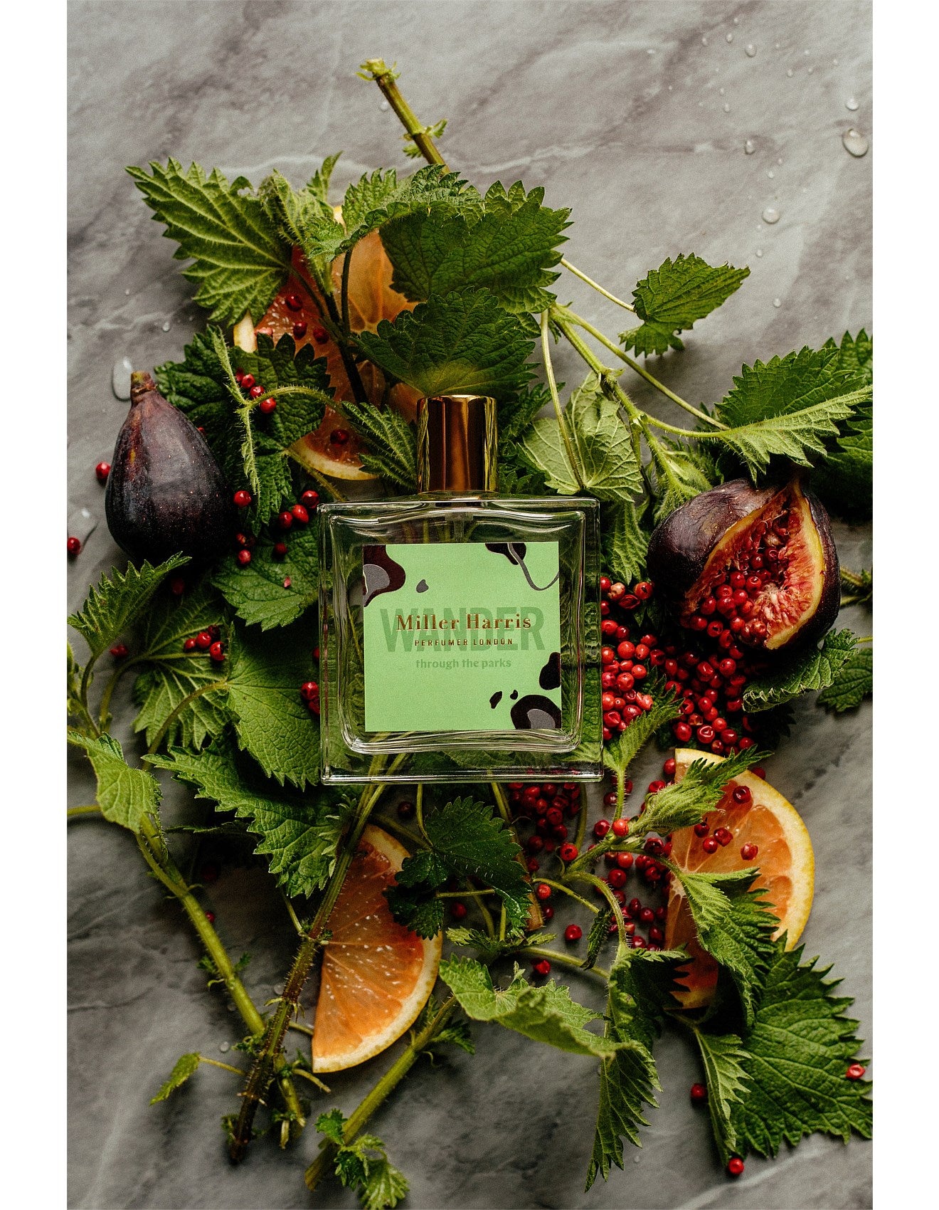 WANDER THROUGH THE PARKS 100ML EDP