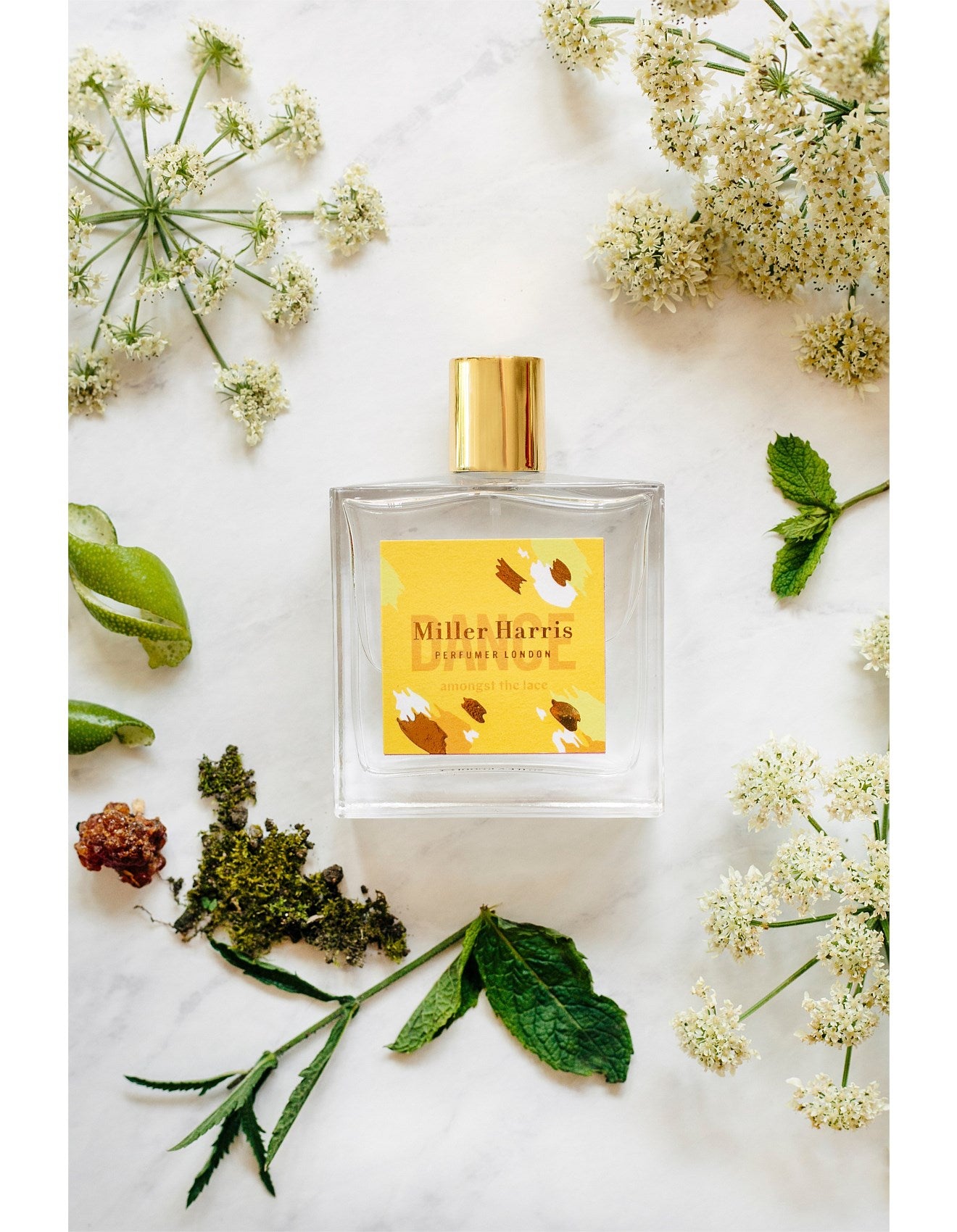 DANCE AMONGST THE LACE 100ML EDP