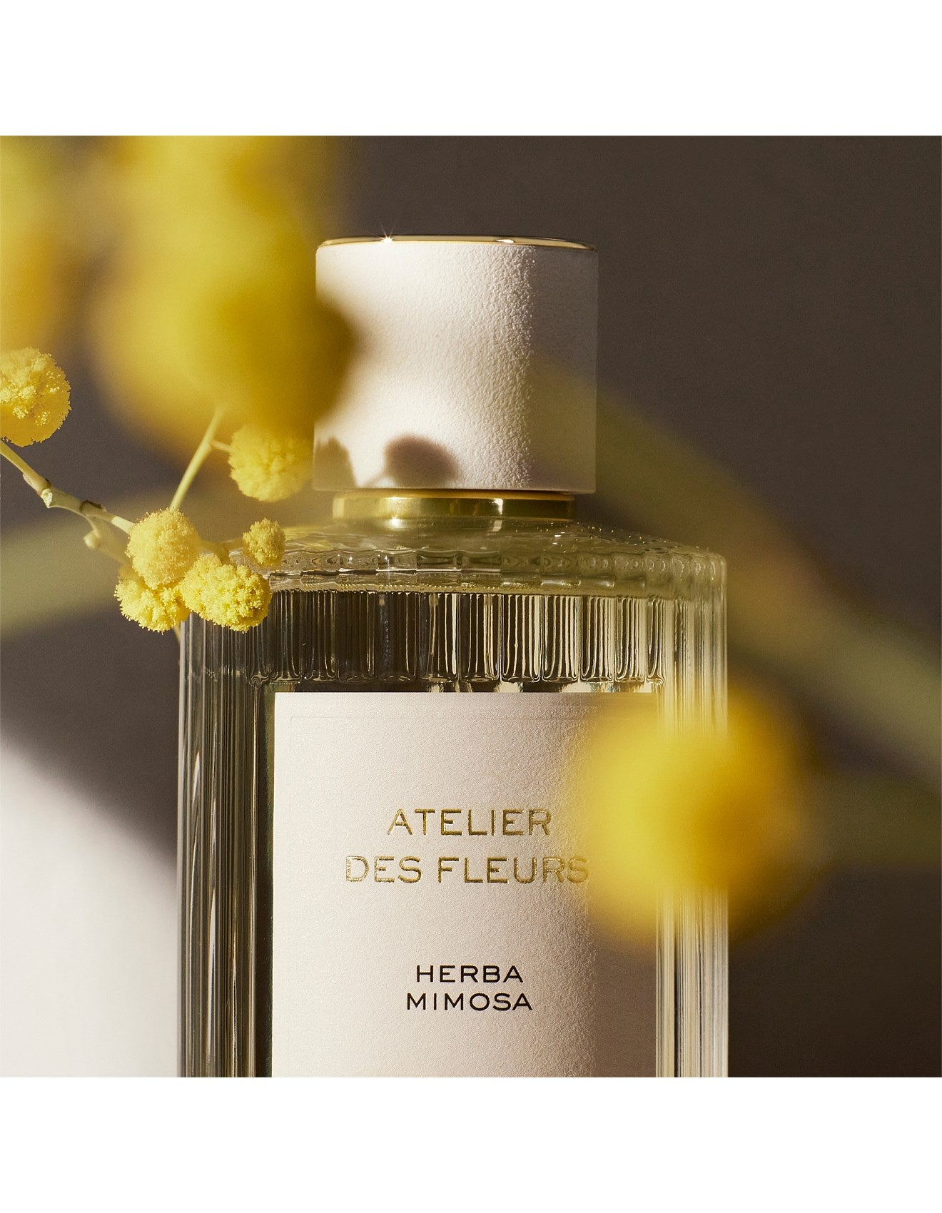 ATELIER DES FLEURS HERBA MIMOSA EAU DE PARFUM 50ML