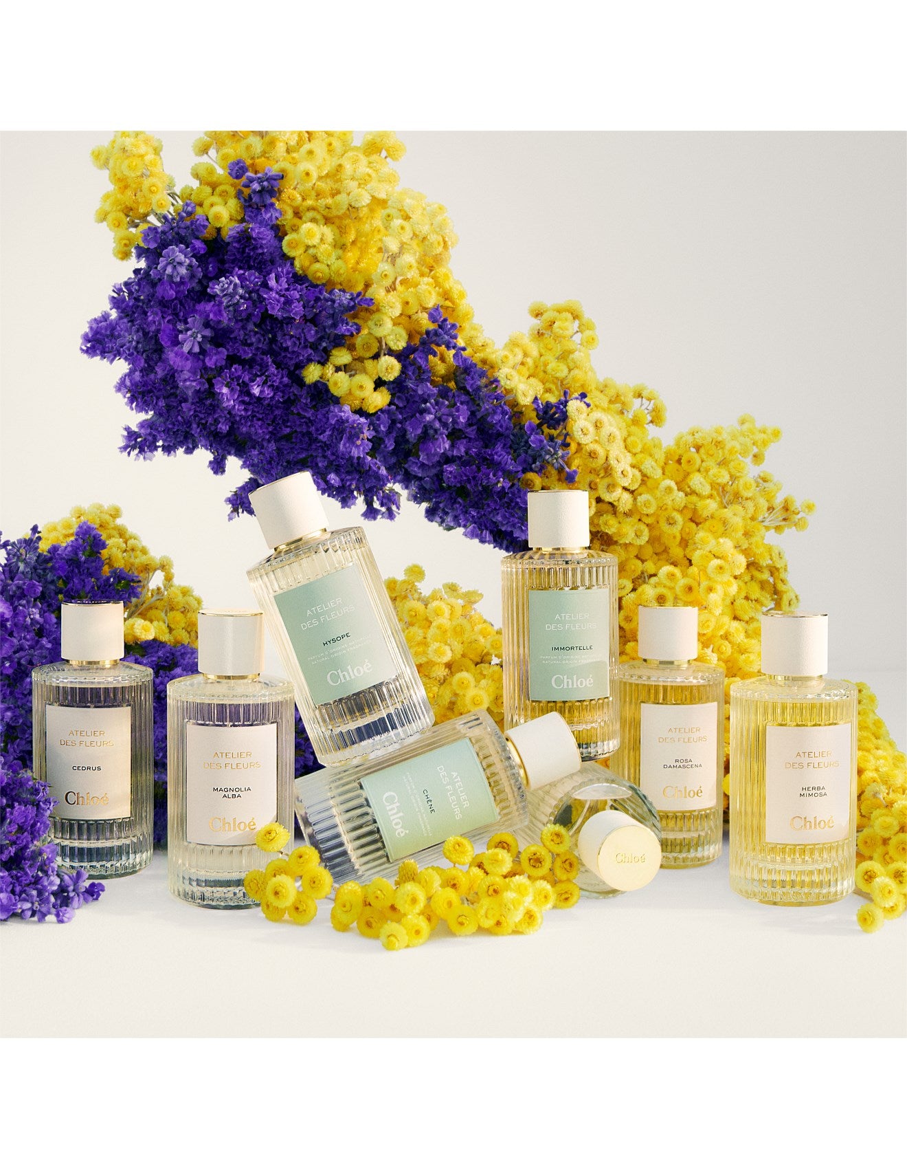 ATELIER DES FLEURS HERBA MIMOSA EAU DE PARFUM 50ML