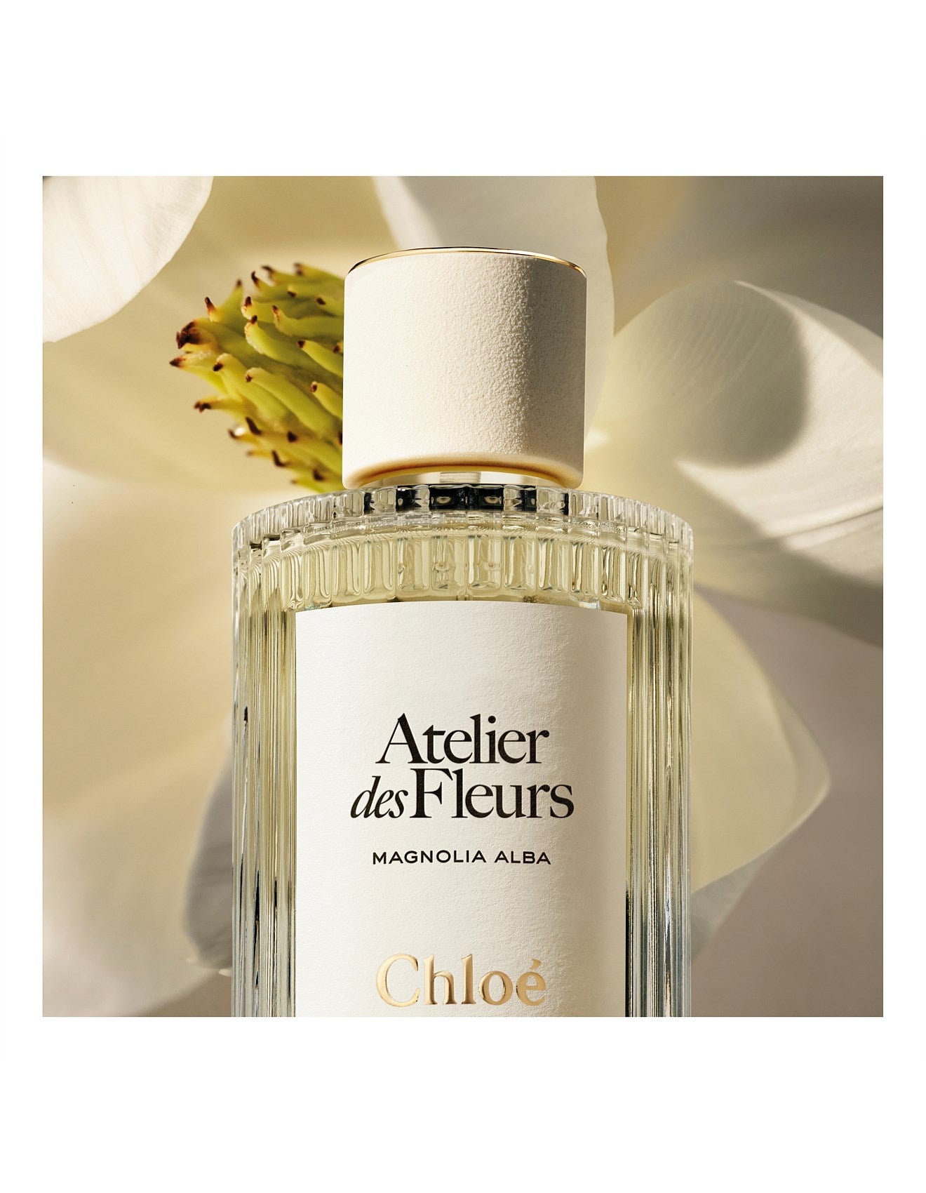 ATELIER DES FLEURS MAGNOLIA ALBA EAU DE PARFUM 50ML