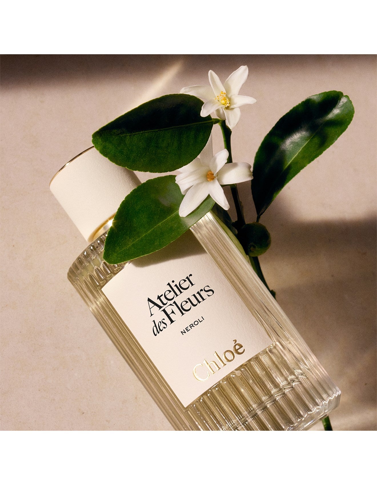ATELIER DES FLEURS NÉROLI EAU DE PARFUM 50ML