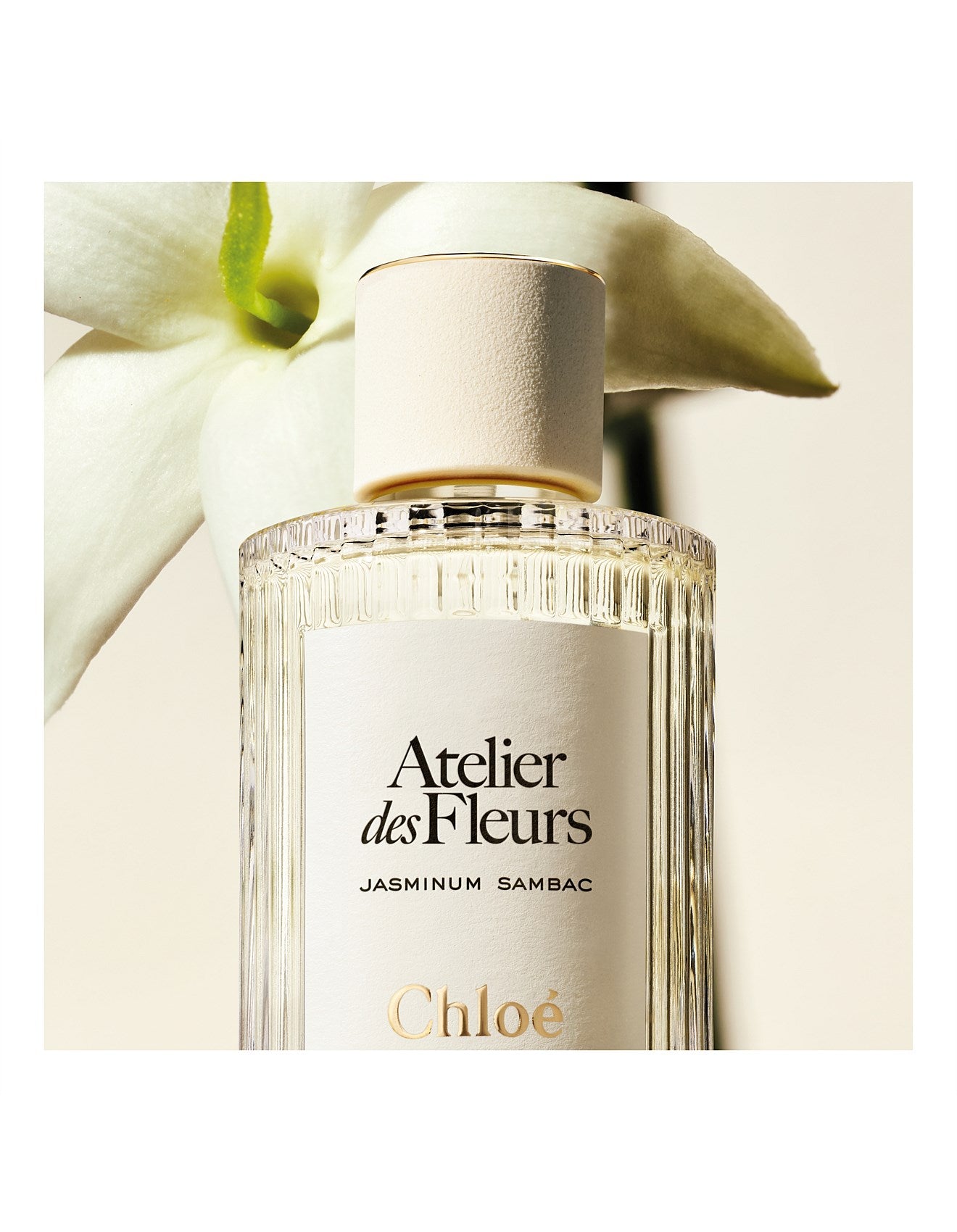 ATELIER DES FLEURS JASMINUM SAMBAC EAU DE PARFUM 50ML