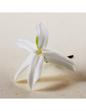 ATELIER DES FLEURS JASMINUM SAMBAC EAU DE PARFUM 50ML