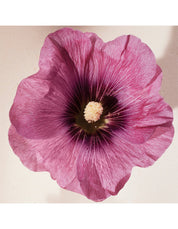 ATELIER DES FLEURS HIBISCUS ABELMOSCHUS EAU DE PARFUM 50ML