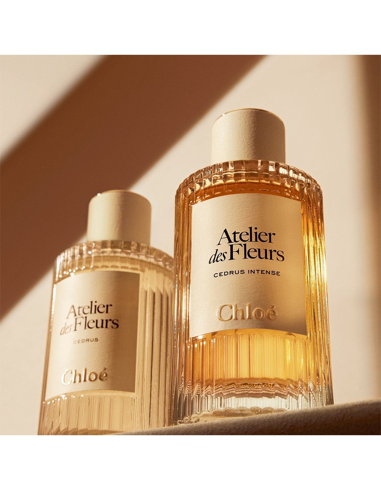 ATELIER DES FLEURS CEDRUS EAU DE PARFUM 50ML