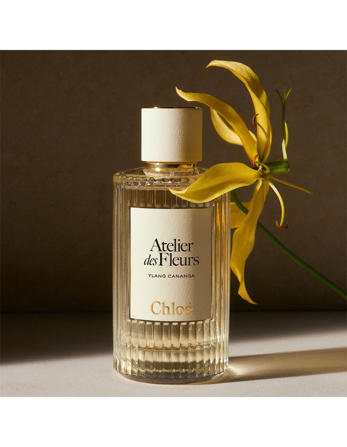 ATELIER DES FLEURS YLANG CANANGA EAU DE PARFUM 50ML