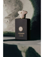 SILVER OUD 100ML EDP