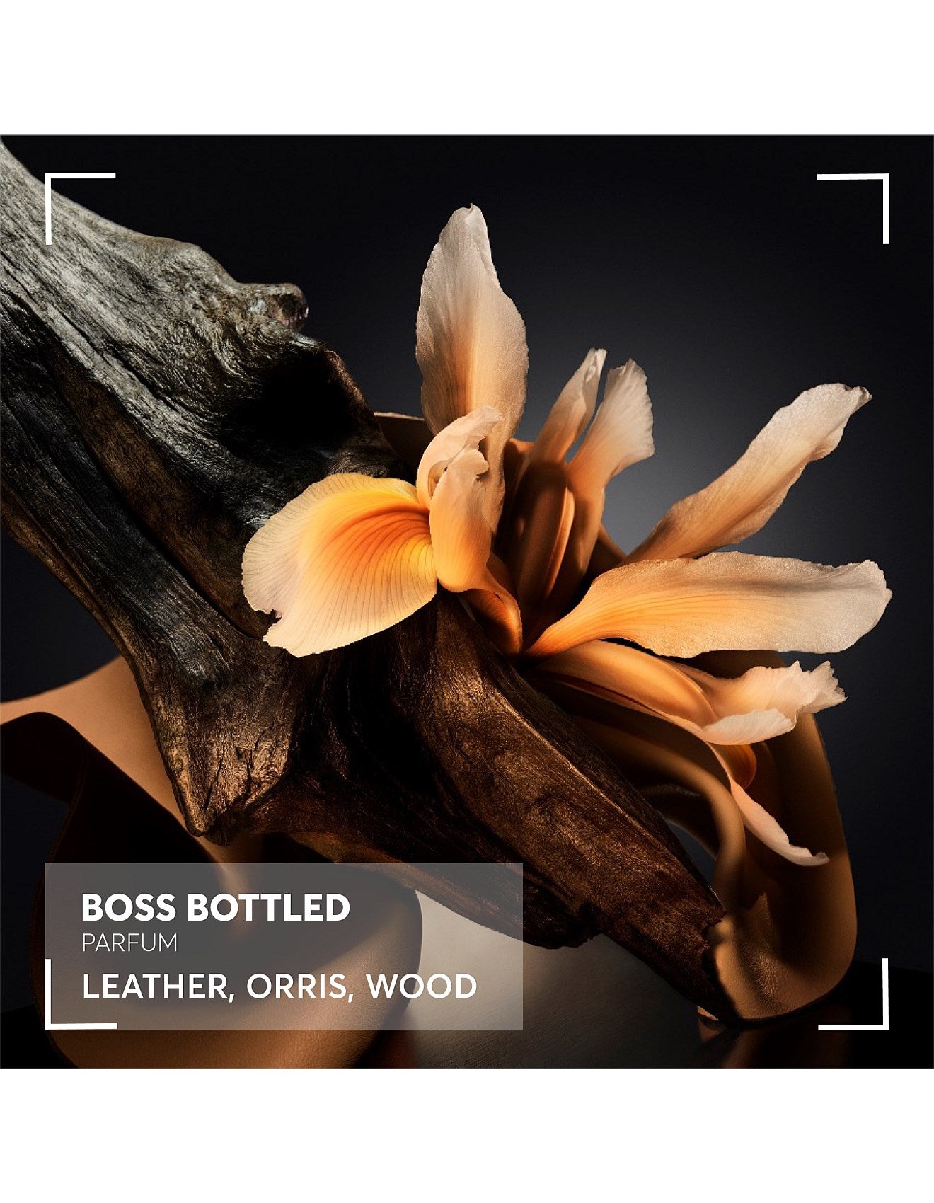 BOTTLED PARFUM 50ML