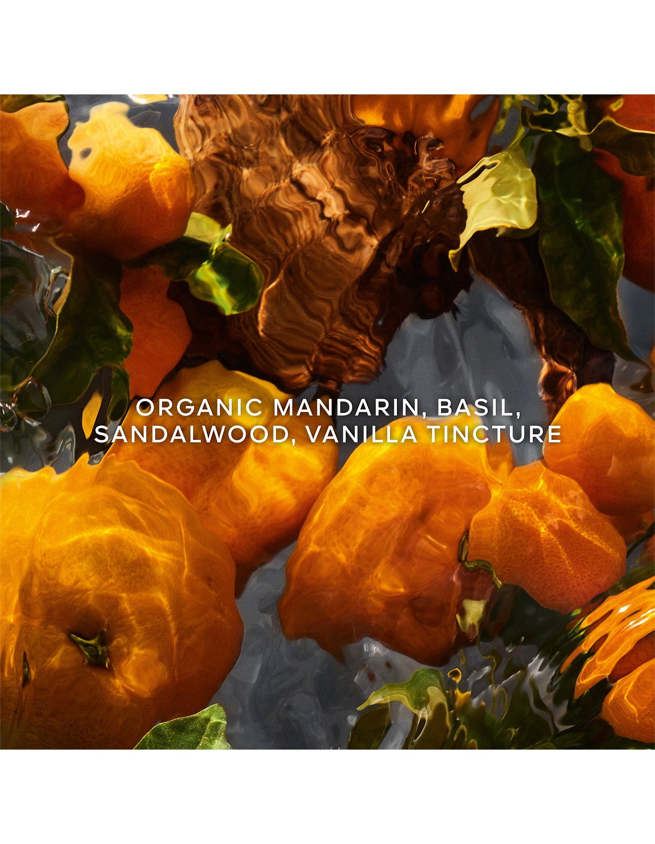 AQUA ALLEGORIA MANDARINE BASILIC FORTE EDP 125ML