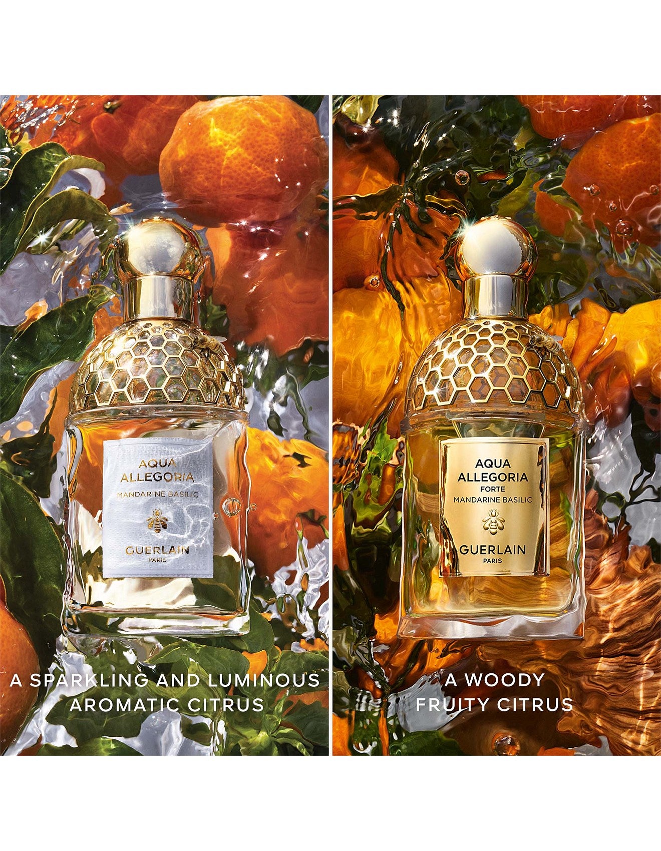 AQUA ALLEGORIA MANDARINE BASILIC FORTE EDP 125ML