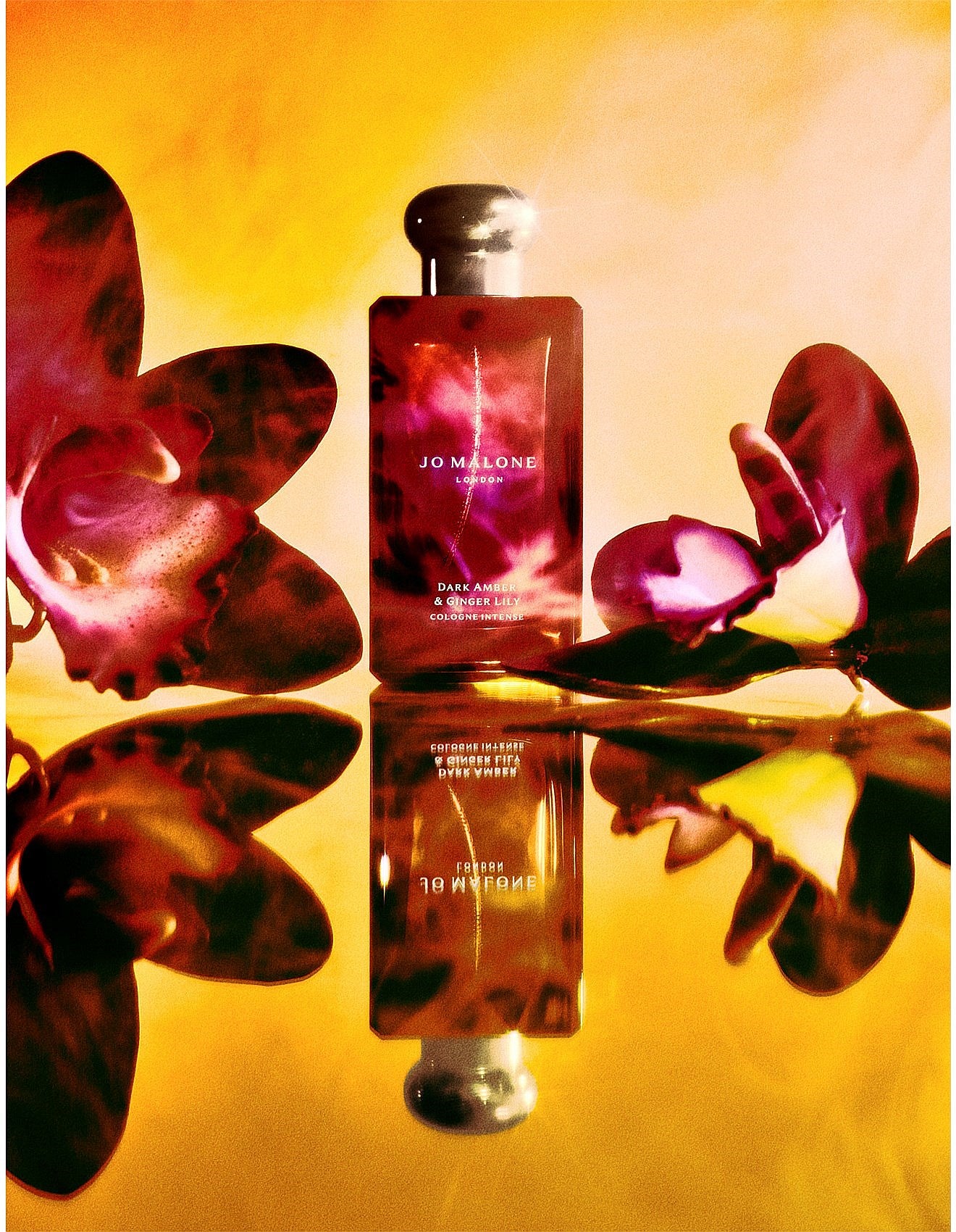 DARK AMBER & GINGER LILY COLOGNE INTENSE 50ML