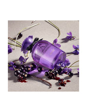 DOLCE VIOLET EDT 50ML