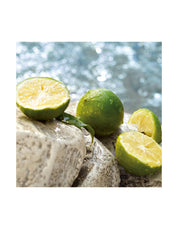 LIGHT BLUE EDT 50ML SUMMER VIBES