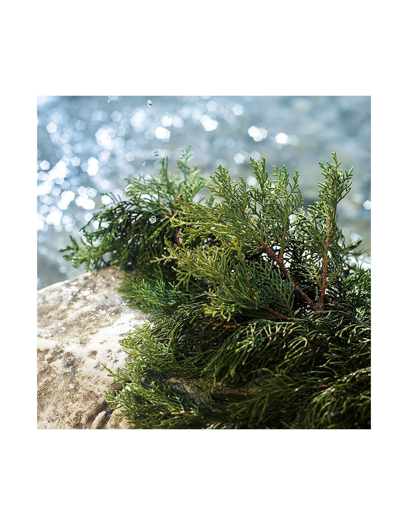 LIGHT BLUE POUR HOMME EDT 125ML SUMMER VIBES